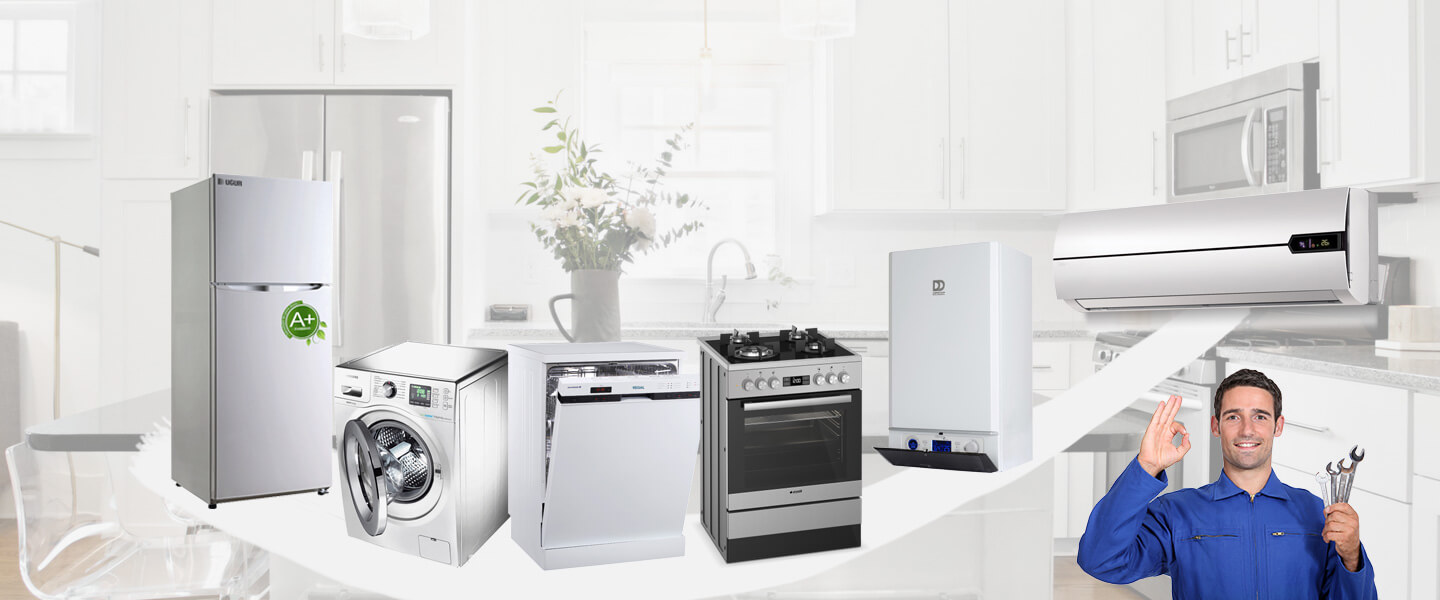 Üçkuyular Electrolux Servisi